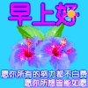 中老年 长辈风 可爱 搞笑