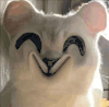 猫咪 变形猫猫 微笑 搞笑 沙雕