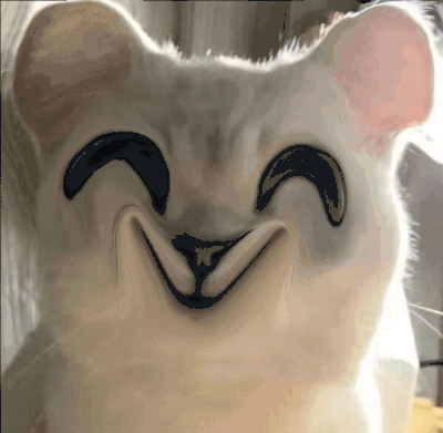 猫咪 变形猫猫 微笑 搞笑 沙雕