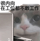 萌寵 貓咪 很內(nèi)向在工位都不敢工作 呆萌 可愛