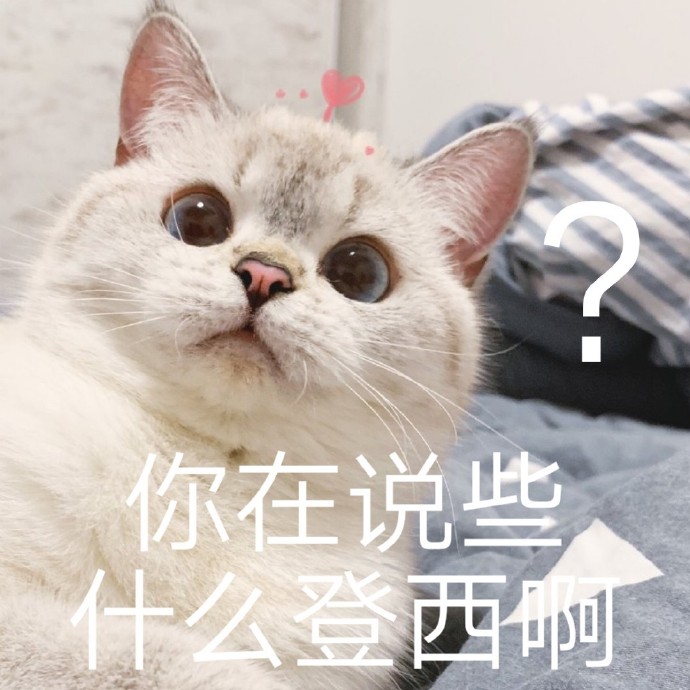 所以呢猫表情包图片