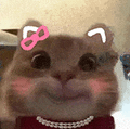 萌宠 猫咪 蝴蝶结 呆萌 可爱