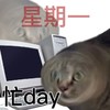 打工人一周 小猫 上班心情 搞笑 逗