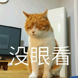 没眼看