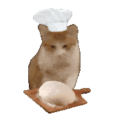 猫meme 可爱 搞怪 沙雕