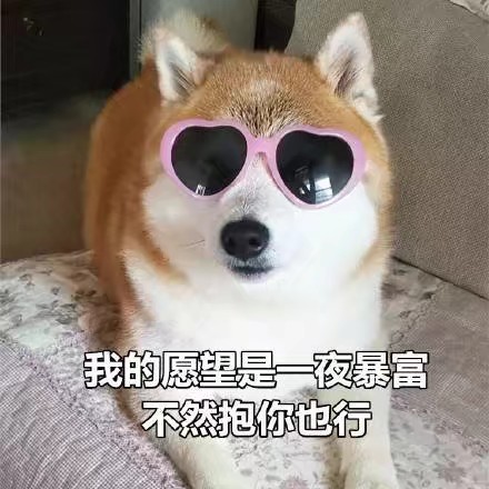 萌宠 汪星人 我的愿望是一夜暴富 抱抱你 可爱 憨憨