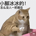萌宠 猫咪 小脚冰冰的怎么没人一把握住 呆萌 可爱