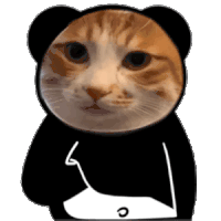 猫咪 挠痒痒 熊猫头 沙雕 搞笑 逗