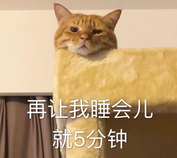 猫表情包含义图片