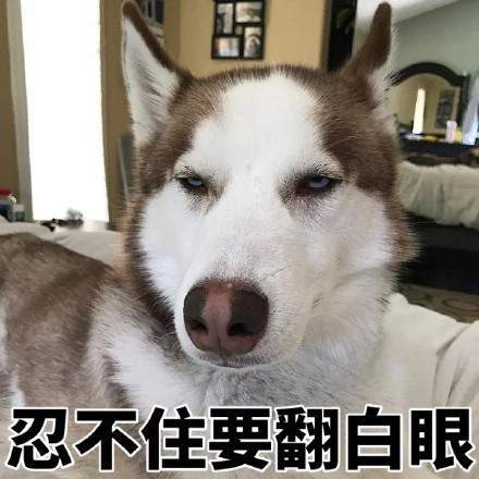 翻白眼狗狗表情包图片