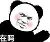 暴漫 熊猫头 在吗 搞怪 逗