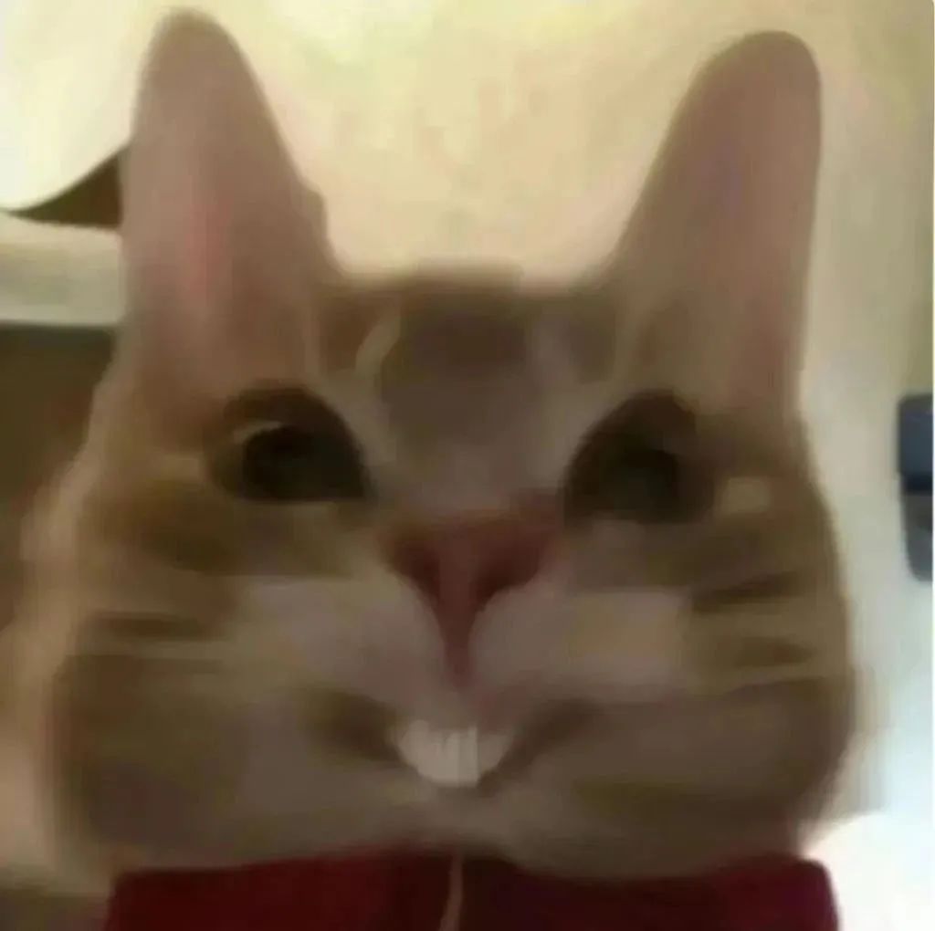 歪嘴小猫 沙雕 搞笑 可爱
