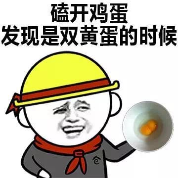 双黄蛋表情包图片