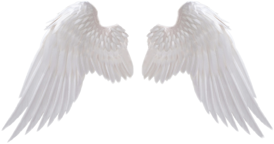 贴纸 翅膀 天使翅膀