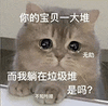 萌宠 猫咪 你的宝贝一大堆而我躺在垃圾堆是吗 呆萌 可爱