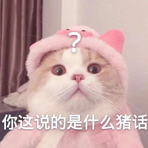 猪猫八部曲图解图片