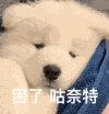萌宠 狗 困了 咕奈特 呆萌 可爱