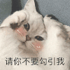 萌宠 猫咪 请你不要勾引我 呆萌 可爱