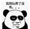 暴漫 熊猫头 我到仙界了没有 搞笑 逗 沙雕