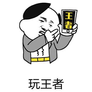 玩王者沙雕搞笑逗gif动图