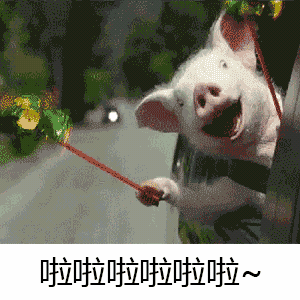 猪风车兜风的表情包图片