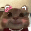 萌宠 猫咪 害羞 呆萌 可爱