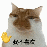萌寵 貓咪 我不喜歡 呆萌 可愛