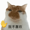 萌宠 猫咪 我不喜欢 呆萌 可爱