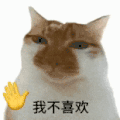 萌宠 猫咪 我不喜欢 呆萌 可爱
