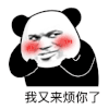 暴漫 熊猫头 我又来烦你了 搞怪 逗