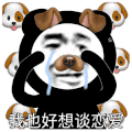 暴漫 熊猫头 谈恋爱 搞笑 逗