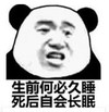 暴漫 熊猫头 生前何必久睡 死后自会长眠 搞笑 逗 沙雕
