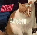 萌宠 猫咪 嘴硬我没错 呆萌 可爱