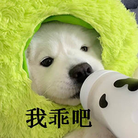 萌宠 狗 菜狗 我乖吧 可爱 无奈