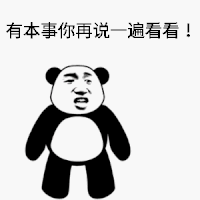暴漫 熊猫头 再说一遍 搞怪 逗