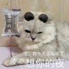 情侣 土味 想你的液 搞笑