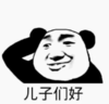 暴漫 熊猫头 儿子们好 搞笑 逗 沙雕