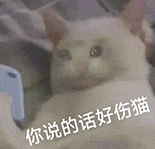 萌宠