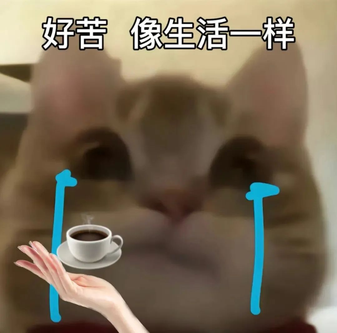 歪嘴小猫 沙雕 搞笑 逗