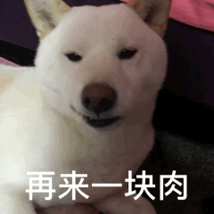 狗狗