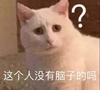 萌宠 猫星人 这个人没有脑子的吗 好奇 呆萌 可爱