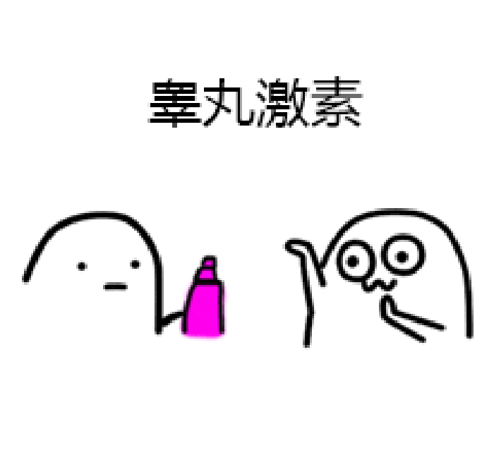 睾丸激素