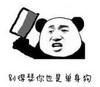 暴漫 熊猫头 别嘚瑟你也是单身狗 搞笑 逗 沙雕