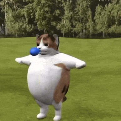 猫咪 可爱 搞怪 日常