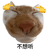 萌宠 猫咪 不想听 呆萌 可爱