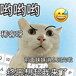 猫咪 可爱 沙雕 搞怪