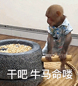 萌寵 貓咪 干吧牛馬命嘍 呆萌 可愛