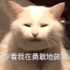 萌宠 猫咪 你看我在勇敢地微笑 可爱 呆萌