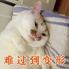 萌宠gif猫星人gif难过到变形gif难受gif呆萌gif可爱gif