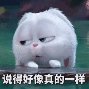 说得好像真的一样搞笑小兔兔可爱gif动图_动态图_表情包下载_soogif
